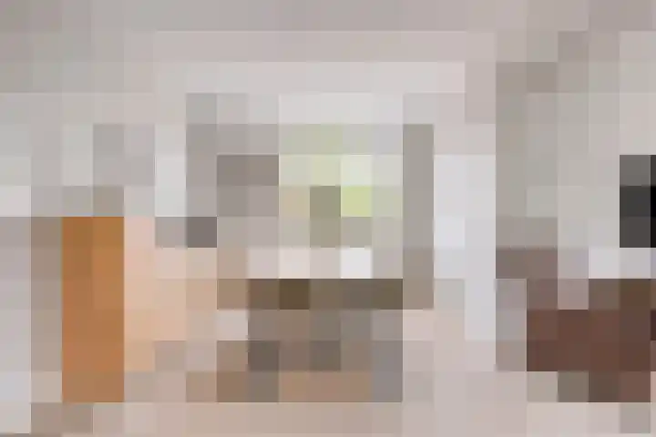 Nicolaas Hooijkaasstraat 2 Zuilichem thumbnail 28