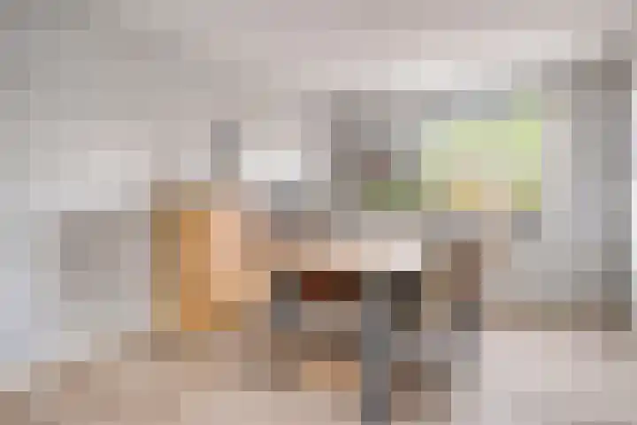 Nicolaas Hooijkaasstraat 2 Zuilichem thumbnail 29