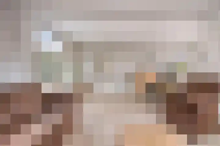 Nicolaas Hooijkaasstraat 2 Zuilichem thumbnail 31