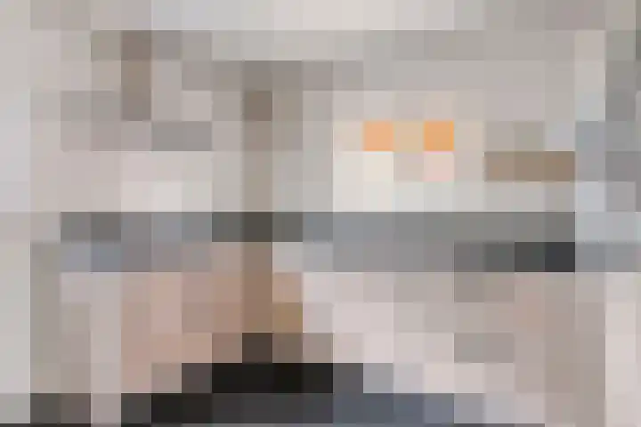 Nicolaas Hooijkaasstraat 2 Zuilichem thumbnail 33