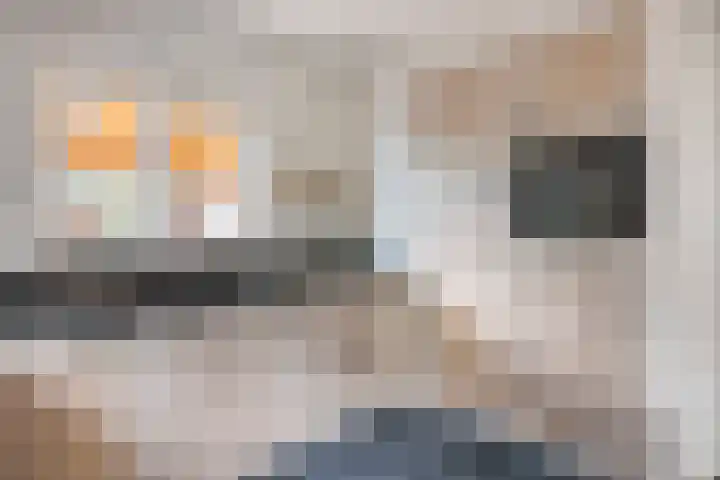 Nicolaas Hooijkaasstraat 2 Zuilichem thumbnail 34