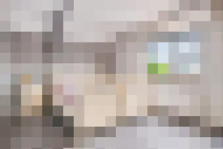Nicolaas Hooijkaasstraat 2 Zuilichem thumbnail 40