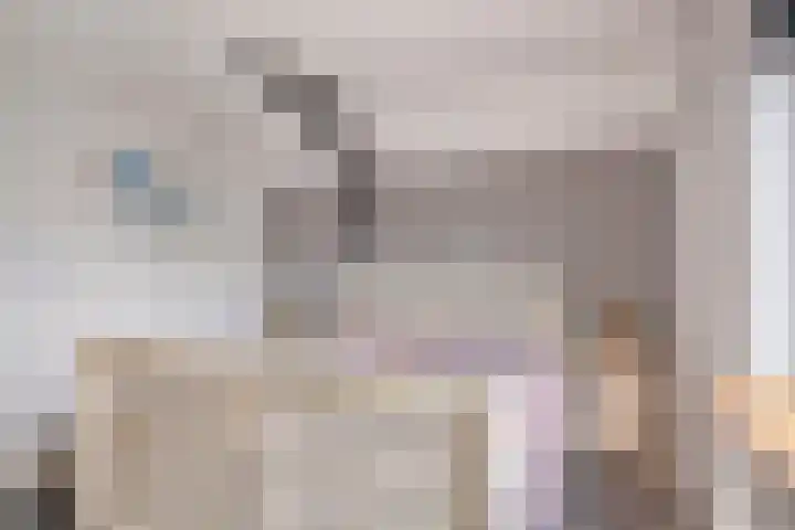 Nicolaas Hooijkaasstraat 2 Zuilichem thumbnail 41
