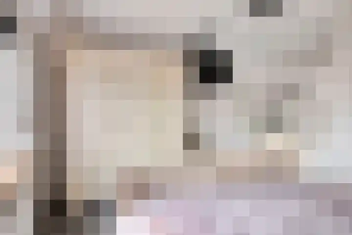 Nicolaas Hooijkaasstraat 2 Zuilichem thumbnail 42