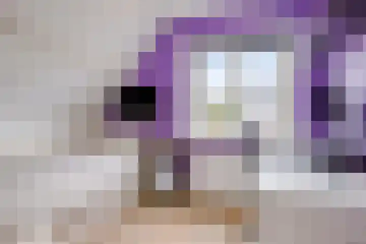 Nicolaas Hooijkaasstraat 2 Zuilichem thumbnail 43