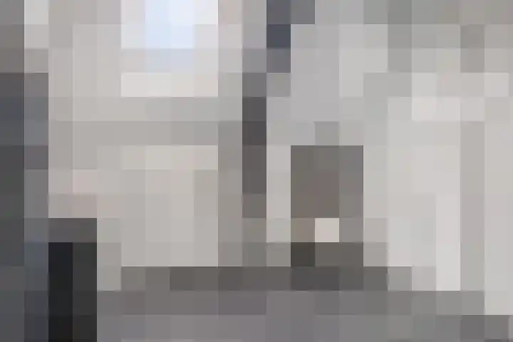 Nicolaas Hooijkaasstraat 2 Zuilichem thumbnail 49
