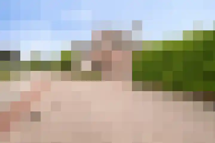 Nicolaas Hooijkaasstraat 2 Zuilichem thumbnail 5