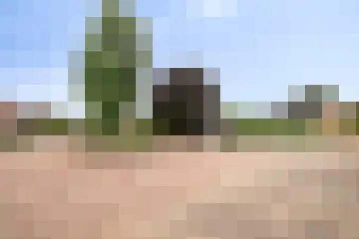 Nicolaas Hooijkaasstraat 2 Zuilichem thumbnail 52