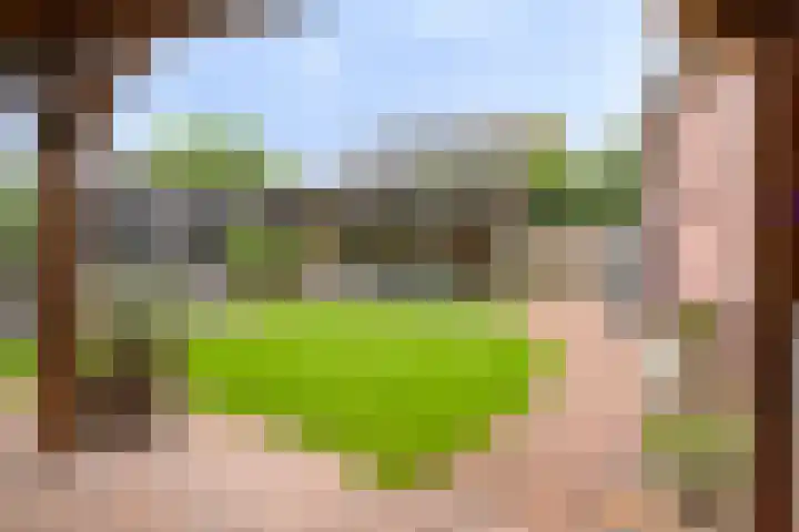 Nicolaas Hooijkaasstraat 2 Zuilichem thumbnail 8