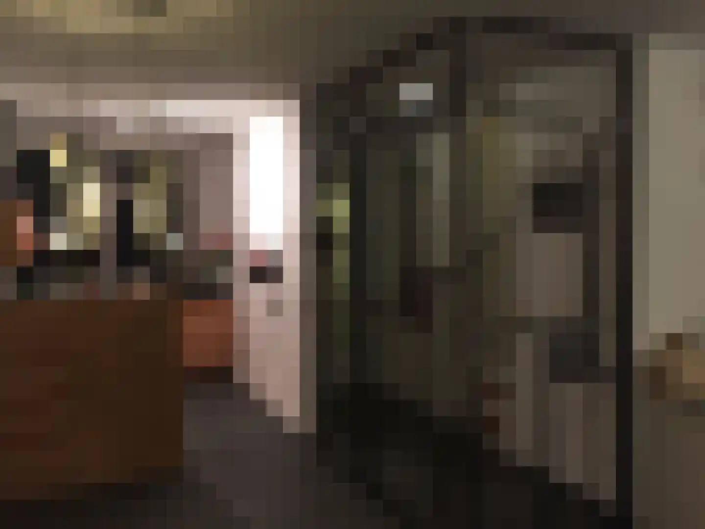 Nicolaas Japiksestraat 117 Amsterdam thumbnail 7