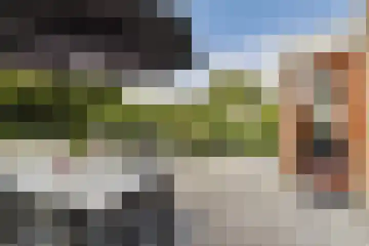 Nicolaas Japiksestraat 123 Amsterdam thumbnail 7