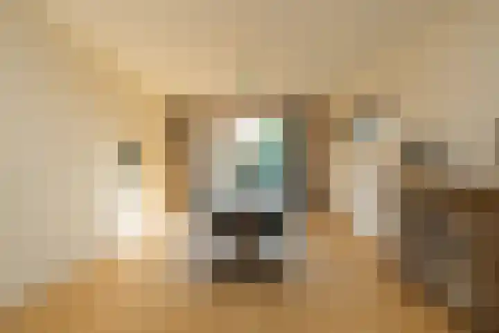 Nicolaas Maeslaan 10 Oegstgeest thumbnail 10