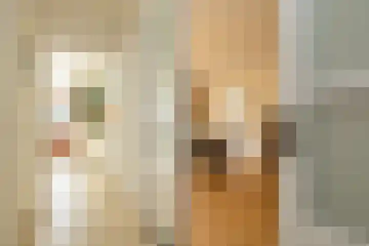 Nicolaas Maeslaan 10 Oegstgeest thumbnail 15
