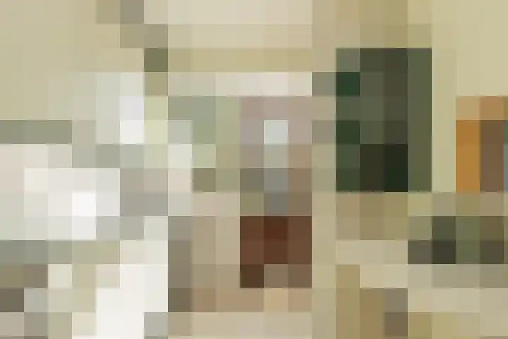 Nicolaas Maeslaan 10 Oegstgeest thumbnail 16