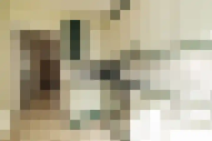 Nicolaas Maeslaan 10 Oegstgeest thumbnail 17