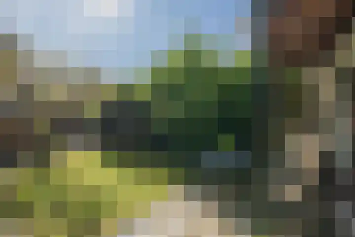 Nicolaas Maeslaan 10 Oegstgeest thumbnail 18