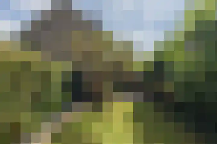 Nicolaas Maeslaan 10 Oegstgeest thumbnail 19