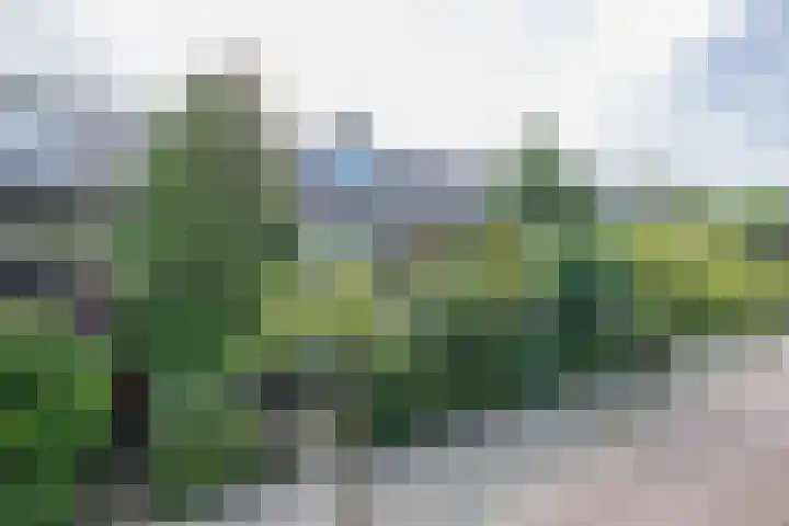 Nicolaas Maeslaan 10 Oegstgeest foto 2
