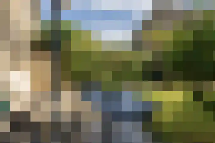 Nicolaas Maeslaan 10 Oegstgeest thumbnail 20