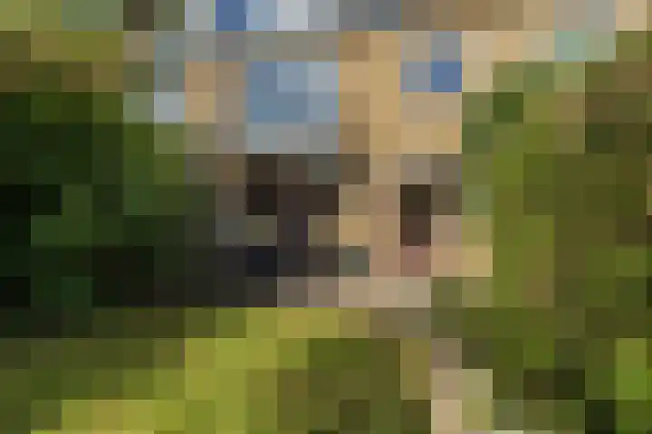 Nicolaas Maeslaan 10 Oegstgeest thumbnail 21