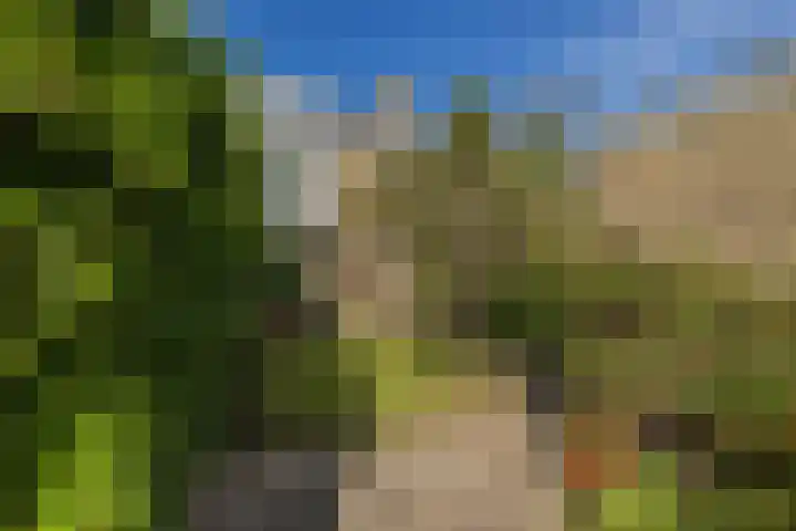 Nicolaas Maeslaan 10 Oegstgeest thumbnail 22