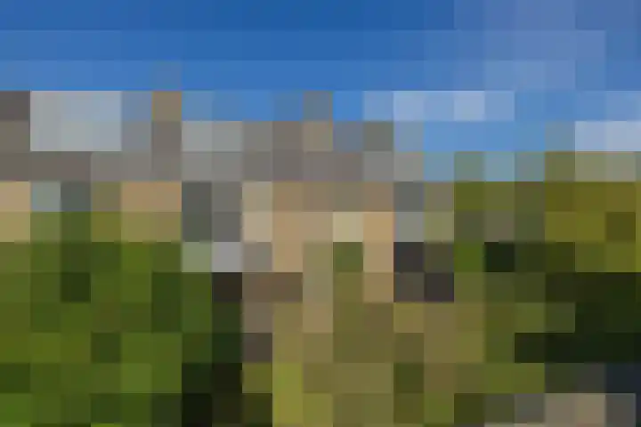 Nicolaas Maeslaan 10 Oegstgeest thumbnail 23