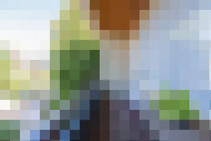 Nicolaas Maeslaan 10 Oegstgeest thumbnail 31