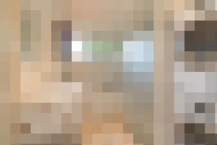 Nicolaas Maeslaan 10 Oegstgeest thumbnail 33