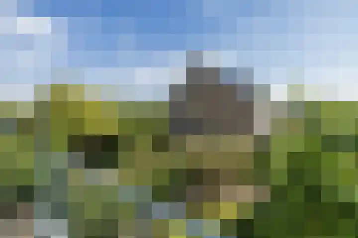 Nicolaas Maeslaan 10 Oegstgeest thumbnail 37