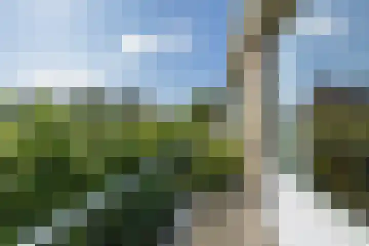Nicolaas Maeslaan 10 Oegstgeest thumbnail 38