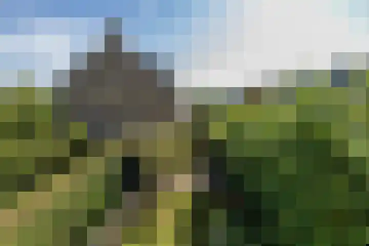 Nicolaas Maeslaan 10 Oegstgeest thumbnail 39