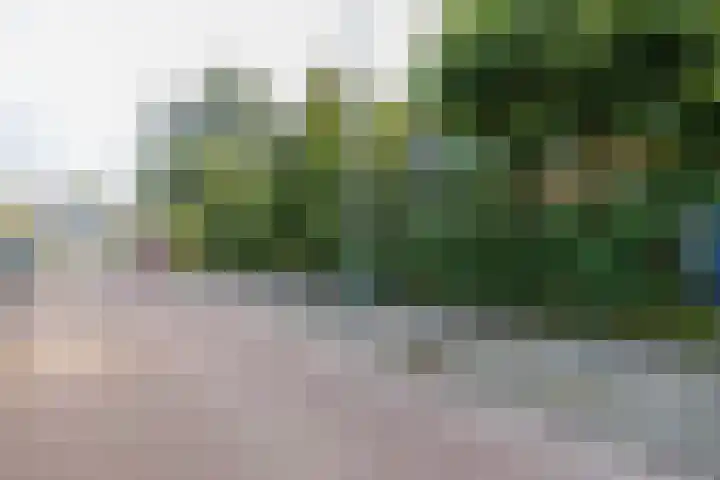 Nicolaas Maeslaan 10 Oegstgeest thumbnail 4