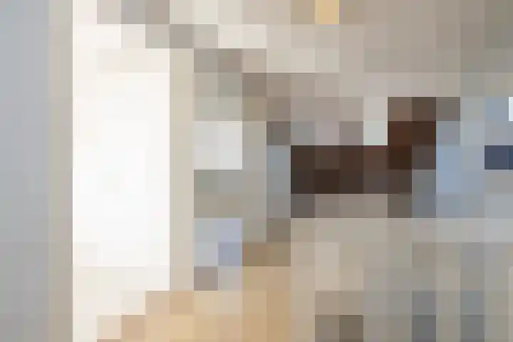 Nicolaas Maeslaan 10 Oegstgeest thumbnail 40