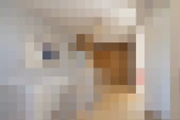 Nicolaas Maeslaan 10 Oegstgeest thumbnail 41