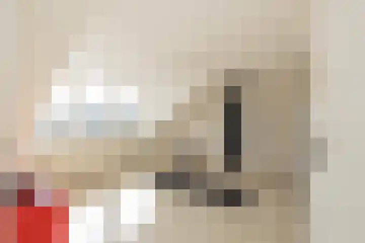 Nicolaas Maeslaan 10 Oegstgeest thumbnail 44