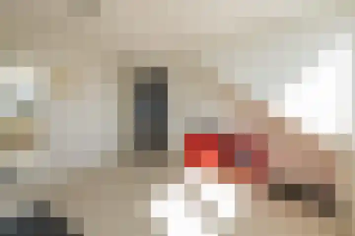 Nicolaas Maeslaan 10 Oegstgeest thumbnail 45