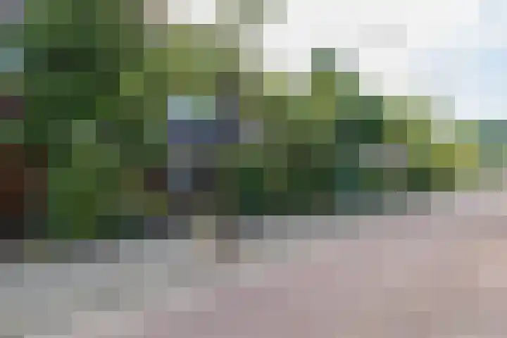 Nicolaas Maeslaan 10 Oegstgeest thumbnail 47