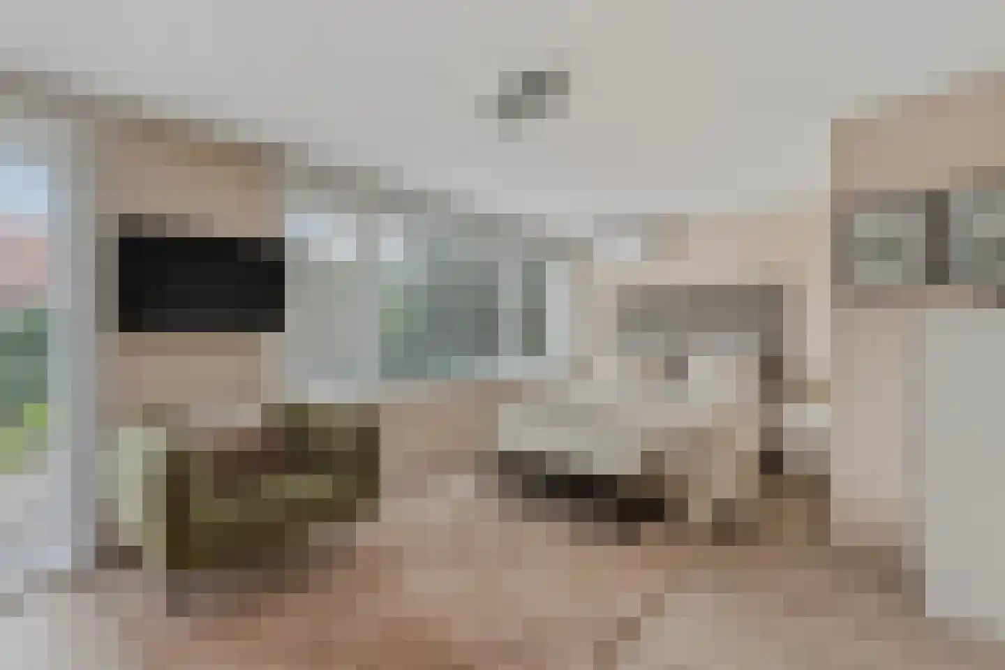 Nicolaas Maeslaan 6 Muiderberg thumbnail 18