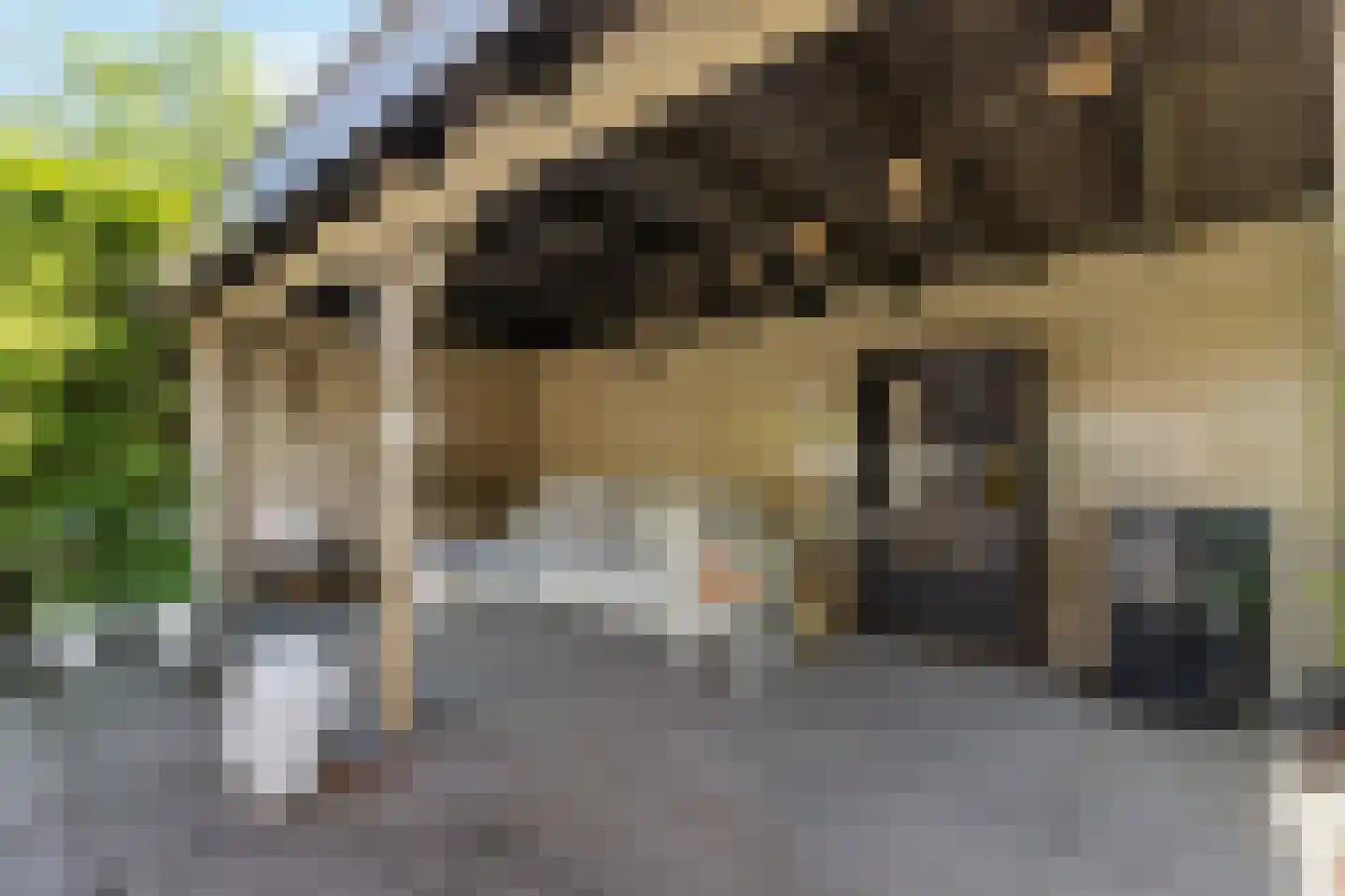 Nicolaas Maeslaan 6 Muiderberg thumbnail 33