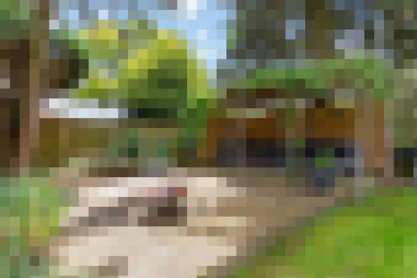 Nicolaas Maeslaan 6 Muiderberg thumbnail 37