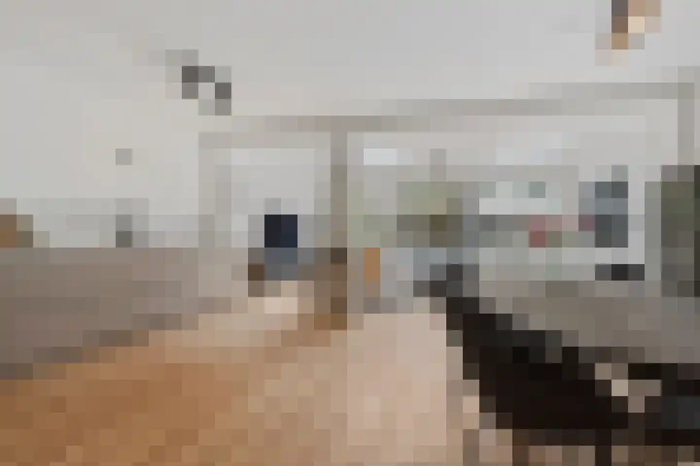 Nicolaas Maeslaan 6 Muiderberg thumbnail 6