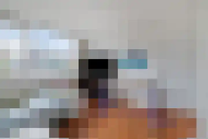 Nicolaas Maeslaan 7 Oegstgeest thumbnail 15
