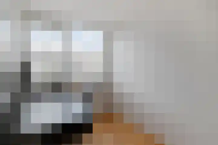 Nicolaas Maeslaan 7 Oegstgeest thumbnail 16