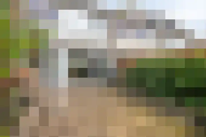 Nicolaas Maeslaan 7 Oegstgeest thumbnail 25