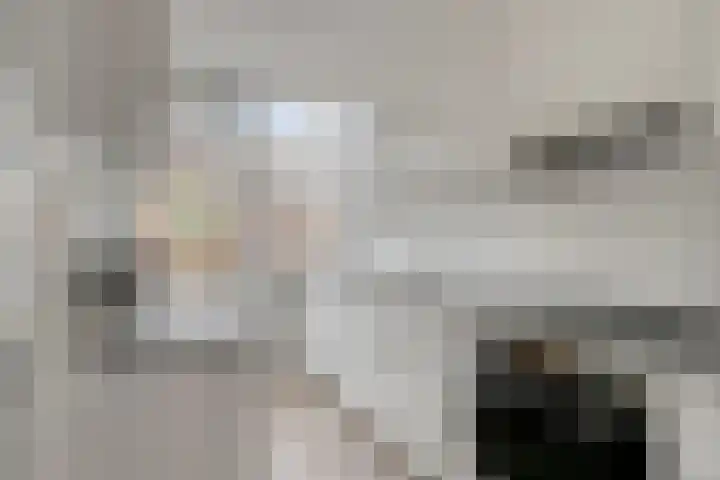 Nicolaas Maeslaan 7 Oegstgeest thumbnail 8