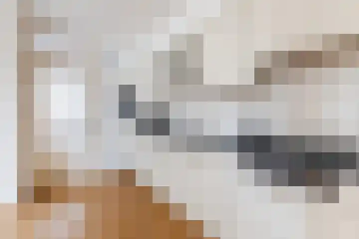 Nicolaas Maesstraat 1 Schagen thumbnail 17
