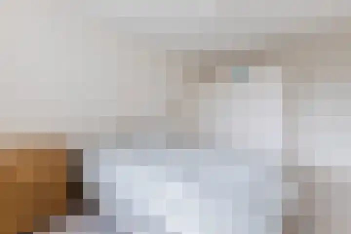 Nicolaas Maesstraat 1 Schagen thumbnail 27