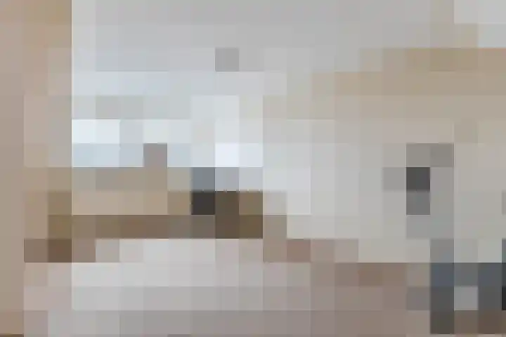 Nicolaas Maesstraat 1 Schagen thumbnail 32