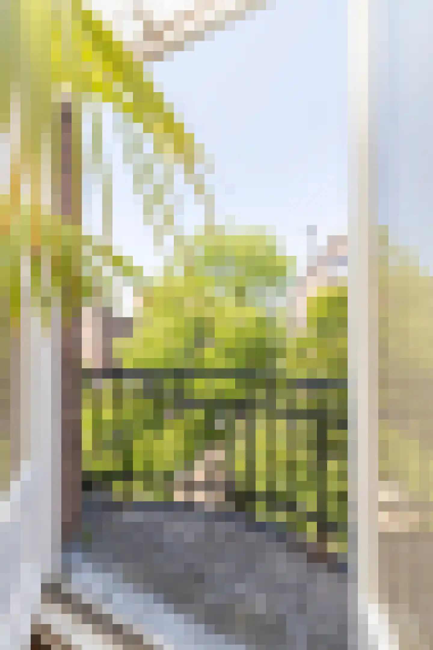 Nicolaas Maesstraat 109 2 Amsterdam thumbnail 25