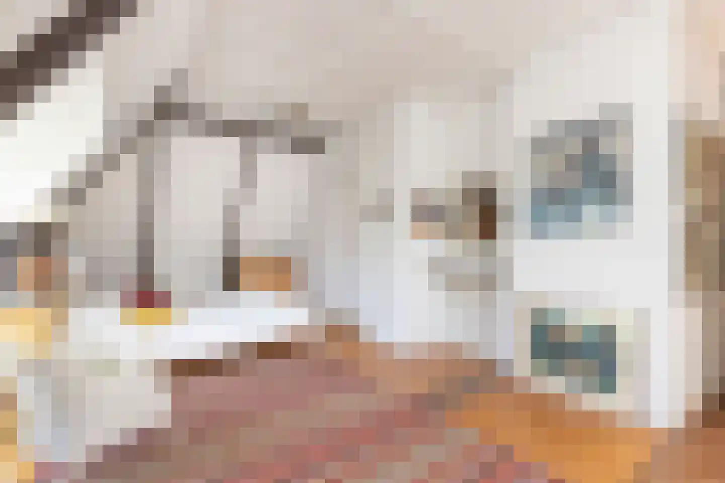 Nicolaas Maesstraat 109 2 Amsterdam thumbnail 31